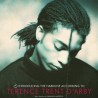 D'ARBY, TERENCE TRENT - INTRODUCING THE HARDLINE